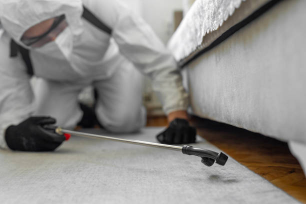 Professional Termite Control technician working in West Point, UT
