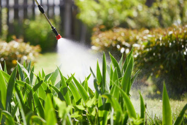 24/7 Emergency Termite Control experts in West Point, UT